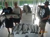 (08/01/2016) - Nice Striped Bass
